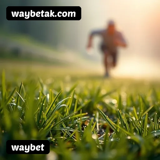 Comparação APP mobile vs versão web da waybet